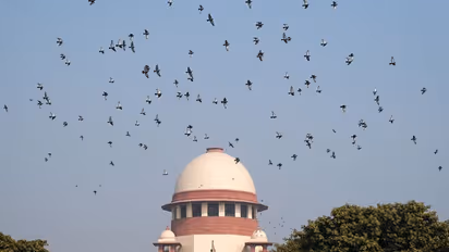 പിതൃത്വം സംബന്ധിച്ച തർക്കത്തിൽ ഡിഎൻഎ ടെസ്റ്റ് അവസാനത്തെ നടപടി: സുപ്രീംകോടതി 