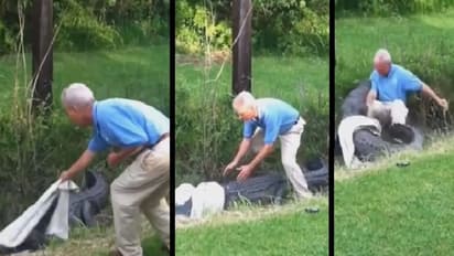 முதலையிடம் சிக்கிய நபர்… பிறகு என்ன ஆனது? அதிர்ச்சியூட்டும் வீடியோ!!