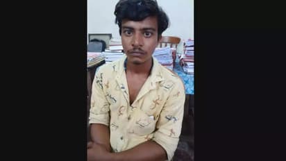 ടെറസിൽ ചട്ടിയിൽ കഞ്ചാവ് വളര്ത്തിയ യുവാവ് കൊച്ചിയിൽ പിടിയിൽ