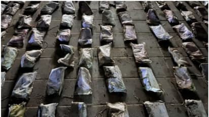 ലഹരിമരുന്ന് കടത്ത്; ബീച്ചില് വിദഗ്ധമായി ഒളിപ്പിച്ച 231 കഞ്ചാവ് പൊതികള് പിടികൂടി