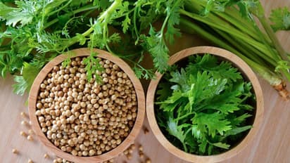 തൈറോയ്ഡ് മുതൽ കൊളസ്ട്രോൾ വരെ; അറിയാം മല്ലിയുടെ ഗുണങ്ങള്‍... 