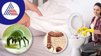 ಟಾಯ್ಲೆಟ್‌ನಲ್ಲಿರೋದಕ್ಕಿಂತ ಹೆಚ್ಚು ಬ್ಯಾಕ್ಟಿರೀಯಾ ಬೆಡ್‌ಶೀಟ್‌ನಲ್ಲಿರುತ್ತಂತೆ !