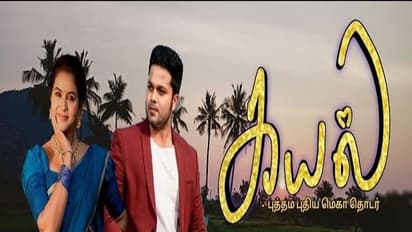 எதிர்நீச்சலை ஓரம்கட்டி கயல்..! டி.ஆர்.பி-யில் இதுவரை எந்த சீரியலும் செய்யாத சாதனை.. கேக் வெட்டி கொண்டாட்டம்!