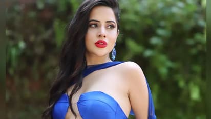 ഉർഫി ജാവേദ് ദുബായിൽ കസ്റ്റഡിയിൽ? ലഭ്യമായ വിവരങ്ങള് ഇങ്ങനെ.!