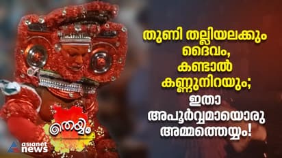 തുണി തല്ലിയലക്കും, നേര്‍ച്ചയായി വസ്‍ത്രങ്ങള്‍; ഇതാ അപൂര്‍വ്വമായൊരു അമ്മത്തെയ്യം!
