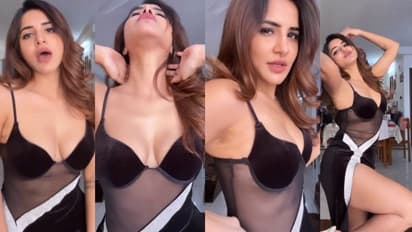 ఆషురెడ్డి థైస్‌ అందాలకు ఆర్జీవీ దాసోహం.. కాళ్లొత్తుతూ వేరే లోకంలో వర్మ.. అదృష్టం అంటే ఆయనదే!