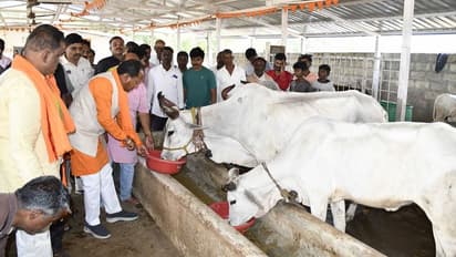  ಖಾಸಗಿ ಗೋ ಶಾಲೆಗಳಿಗೆ ಆರ್ಥಿಕ ನೆರವು: ಪ್ರಭು ಚೌವ್ಹಾಣ್‌