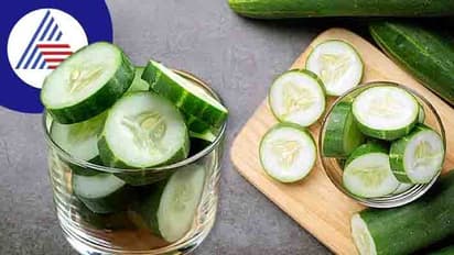 Cucumber In Winter: ಚಳಿಗಾಲದಲ್ಲಿ ಸೌತೆಕಾಯಿ ತಿಂದ್ರೆ ಶೀತ, ಕೆಮ್ಮಿನ ಸಮಸ್ಯೆ ಜಾಸ್ತಿ