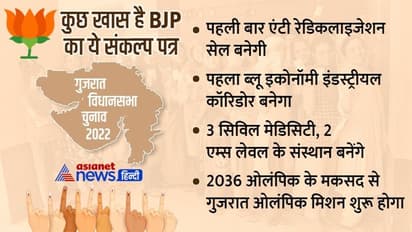 गुजरात में 20 लाख रोजगार के वादे के साथ भाजपा ने जारी किया संकल्प पत्र, कांग्रेस ने कहा है 10 लाख रोजगार देगी 