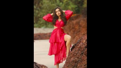 'వాల్తేరు వీరయ్య'తో బన్నీ హీరోయిన్ అప్ సెట్.. మొండి చెయ్యి చూపించారా ?