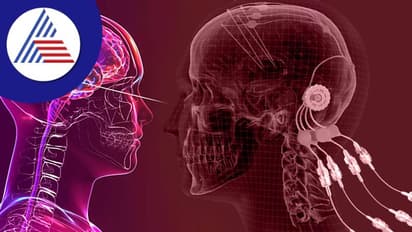 Nerves: நரம்புகள் வலுப்பெற உதவும் சைவ உணவுகள் இவை தான்!