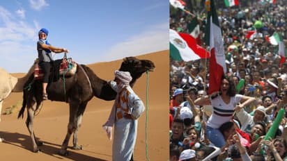 ఫిఫా ఫ్యాన్స్కు ‘క్యామెల్ ఫ్లూ’ గండం..! మరో మహమ్మారి తప్పదని నివేదికలు.. ఒంటెలకు దూరంగా ఉండాలని హెచ్చరిక