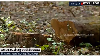 വനം ദ്രുതകര്മ്മസേനയ്ക്ക് ഓഫീസ്; പഴക്കം ചെന്ന 25 ഓളം മരങ്ങള് മുറിച്ച് മാറ്റി വനംവകുപ്പ്