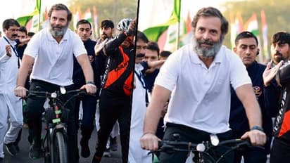 Bharat Jodo Yatra: Day after bike ride, Rahul Gandhi cycles in Madhya Pradesh