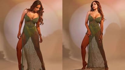 వాటికి బాగా అలవాటు పడిపోయాను.. మలైకా అరోరా ఇంట్రెస్టింగ్ కామెంట్స్..