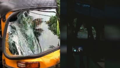 കോഴിക്കോട് മലപ്പുറം അതിര്‍ത്തിയിലെ കോനൂര്‍കണ്ടിയില്‍ കാട്ടാനയിറങ്ങി; ഫുട്ബോള്‍ ആരാധകര്‍ക്ക് നേരെയും ആക്രമണം