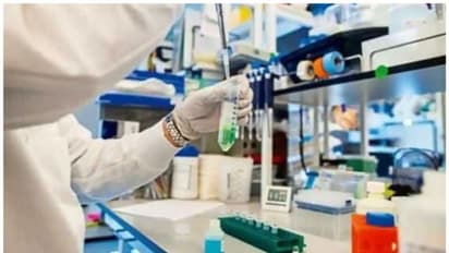 48,500 വർഷം പഴക്കം, 'സോംബി വൈറസിനെ' പുനരുജ്ജീവിപ്പിച്ച് ശാസ്ത്രജ്ഞർ 