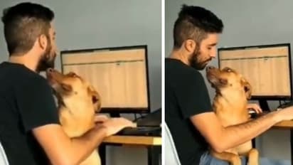 'വര്‍ക്ക് ഫ്രം ഹോം ഇങ്ങനെ ആയാലെന്താ!'; യുവാവിന്‍റെ വീഡിയോ