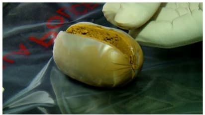 കള്ളക്കടത്ത് സ്വര്ണം കവരും, പെരിന്തല്മണ്ണയില് അഞ്ചുപേര് പിടിയില്