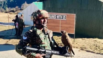 Explained: எல்லைக்குள் வரும் எதிரிகளின் ட்ரோன்களை ராணுவத்தின் கரும்பருந்துகள் எவ்வாறு அழிக்கின்றன?