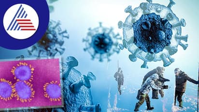 Zombie Virus: ಸೈಬೀರಿಯಾದಲ್ಲಿ 48,500 ವರ್ಷಗಳ ಹಿಂದಿನ ಝೋಂಬಿ ವೈರಸ್ ಪತ್ತೆ