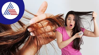 ನಿಮ್ಮ ಈ ತಪ್ಪುಗಳೂ ಸಹ ಕೂದಲು ಉದುರಲು ಕಾರಣವಿರಬಹುದು