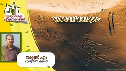 Malayalam Poem : സായന്തനം, വരുണ് എം എഴുതിയ കവിത