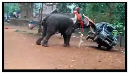 അയ്യപ്പൻ വിളക്കിനിടെ ആനയിടഞ്ഞു; മേൽശാന്തിയുടെ വാഹനം കുത്തിമറിച്ചിട്ടു