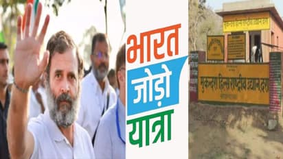 राजस्थान में कांग्रेस की भारत जोड़ो यात्रा का टाइगर से होगा सामना: मुकुंदरा टाइगर रिजर्व चलेगी नहीं पैदल