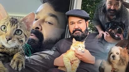 'അയാൾ ഒരു മനുഷ്യ സ്നേഹിയാണ്, അതാണ് പ്രകൃതിയെയും പക്ഷി- മൃഗങ്ങളെയും കൂടെ കൂട്ടാൻ കഴിയുന്നത്' 