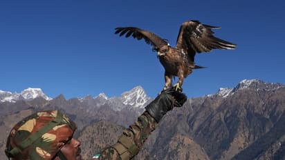 चीन को भारत का करारा जवाब-तीसरे के Veto की हमें जरूरत नहीं, बीजिंग ने जताई थी US के साथ अभ्यास पर आपत्ति