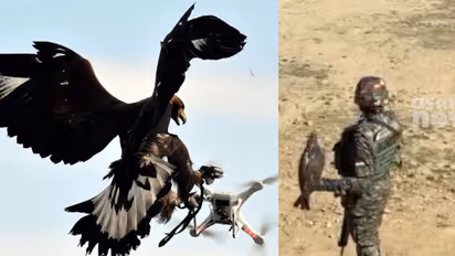 കാലിൽ  നിരീക്ഷണ ക്യാമറ,  പൊസിഷനിംഗ് സിസ്റ്റം ട്രാക്കർ; ശത്രു ഡ്രോണുകളെ തകർക്കാൻ പരുന്തുകളുടെ പ്രത്യേക സ്ക്വാഡ്