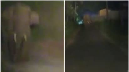 കാട്ടാനയെ ഓടിക്കാനെത്തി, ഒടുവില് കാട്ടാന ഓടിച്ചു; രണ്ട് കിലോമീറ്റര് പിന്നോട്ടോടി ആര്ആര്ടീമിന്റെ വാഹനം