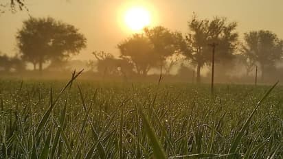 राजस्थान वेदर के ताजा हालः प्रदेश में बादलों ने बिगाड़ा सर्दी का गणित, कश्मीर की बर्फबारी बढ़ाएगी ठिठुरन