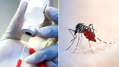 Mysuru : ರಾಷ್ಟ್ರೀಯ ಮಲೇರಿಯಾ ವಿರೋಧಿ ಮಾಸಾಚರಣೆ