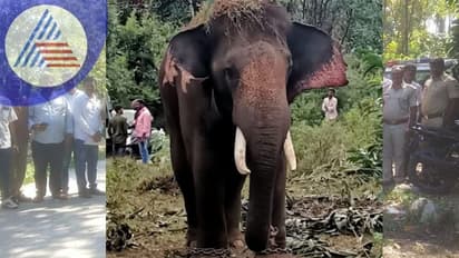 Chikkamagaluru: ಕಾಡಾನೆ ಸೆರೆಗೆ ಕೂಂಬಿಂಗ್; ಪತ್ತೆಯಾಗದ ನರಹಂತಕ ಆನೆ