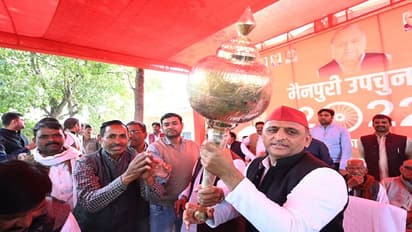 मैनपुरी उपचुनाव में मुलायम की तरह ही प्रचार कर रहे अखिलेश, ऐसे साधे जा रहे अलग-अलग जातियों के गणित