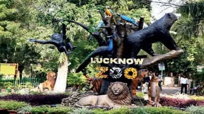 UP सरकार ने केंद्रीय चिड़ियाघर प्राधिकरण को भेजा प्रस्ताव, कुकरैल में शिफ्ट होने के साथ किए जा रहे खास इंतजाम