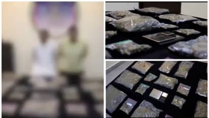 കുവൈത്തില് വന് കഞ്ചാവ് വേട്ട: രണ്ട് യുവാക്കള് പിടിയില്