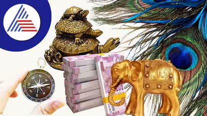 ಪ್ರತಿ ದಿನ ಬೆಳಗ್ಗೆ ಎದ್ದು ಈ ವಾಸ್ತು ಟಿಪ್ಸ್ ಅನುಸರಿಸಿದರೆ ನಿಮ್ಮ ಮನೆ ತುಂಬಲಿದೆ ಸಂಪತ್ತು!