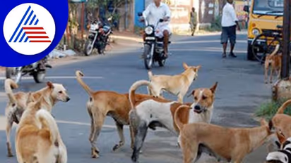 Bengaluru faces on average 85 daily stray dog bite incidents in Silicon City!
