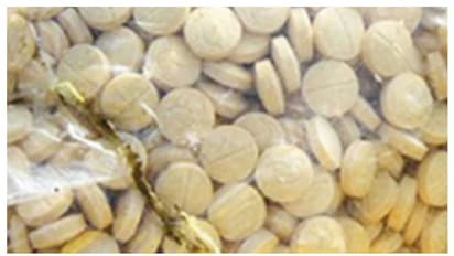 സൗദി അറേബ്യയിലേക്ക് കടത്താന് ശ്രമിച്ച 24 ലക്ഷം ലഹരി ഗുളികകള് പിടികൂടി