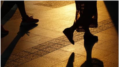 സൈഫുന്നിസയും സബീഷും, 2012 ൽ മലപ്പുറത്ത് കാണാതായി, 10 വർഷം തുമ്പില്ല, ഒടുവിൽ ബാംഗ്ലൂരിൽ! ഡിഎംപിടിയു കണ്ടെത്തി