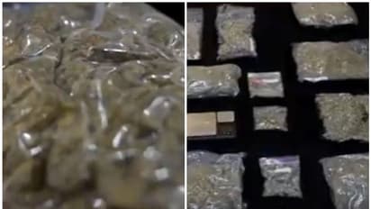 കുവൈത്തില് പത്ത് കിലോ കഞ്ചാവുമായി രണ്ടുപേര് അറസ്റ്റില്