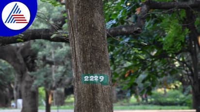 ಬೆಂಗ್ಳೂರಿನ ಪ್ರತಿ ಮರಕ್ಕೂ ಕ್ಯೂಆರ್ ಕೋಡ್..!