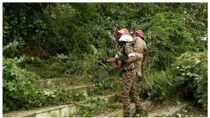 കായികമേളയ്ക്കിടെ മരച്ചില്ല ഒടിഞ്ഞുവീണു, ഒരു വിദ്യാര്ത്ഥിക്ക് പരിക്ക്