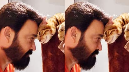 പ്രിയ പെറ്റിനൊപ്പം മോഹന്ലാല്; 'സമ്മർ ഇൻ ബത്ലഹേമിലെ പൂച്ച ആണോ'ന്ന് ആരാധകർ
