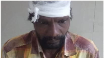 കാട്ടുപോത്തിന്‍റെ കുത്തേറ്റ് ഒരാൾക്ക് പരിക്ക്; ആക്രമണം റേഷൻ കടയിൽ നിന്ന് മടങ്ങുന്ന സമയത്ത്