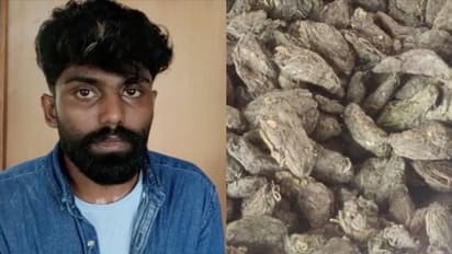 വോൾവോ ബസിൽ യാത്ര ചെയ്ത യുവാവിൽ നിന്ന് പിടിച്ചെടുത്തത് നാല് കിലോ കഞ്ചാവ്