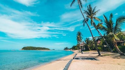 വാലന്റൈൻസ് ഡേ ടൂർ പാക്കേജുമായി ഐആർസിടിസി; ഗോവൻ യാത്രയുടെ നിരക്കുകൾ ഇതാണ്